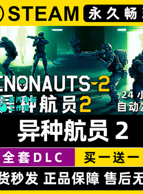 异种航员2 Xenonauts 2 Steam电脑单机游戏CDKey全DLC序列号密钥