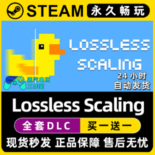 【小黄鸭 Lossless Scaling】无损缩放补帧 Steam正版CDKEY激活码