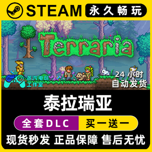泰拉瑞亚 激活码 Terraria CDK全DLC兑换码 入库 Steam游戏正版
