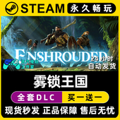 激活码 入库 Steam游戏正版 CDK全DLC兑换码 雾锁王国 Enshrouded