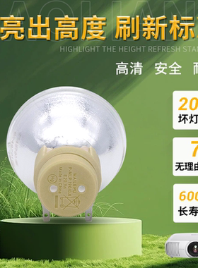 适用奥图码HD200X/HD200D/HD20LV/HD260S/HD3300/HD300X/DP3501/DK354/DN3615/DN3601/DP3515投影机仪灯泡
