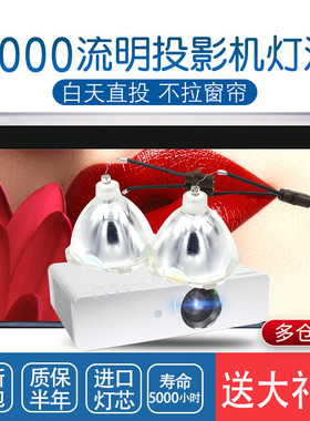 集大成适用于 松下投影机灯泡 PT-PX860  PX880 PW880NT PX880 PX960 PX970 HS250AR10 PX780E ET-LAP770