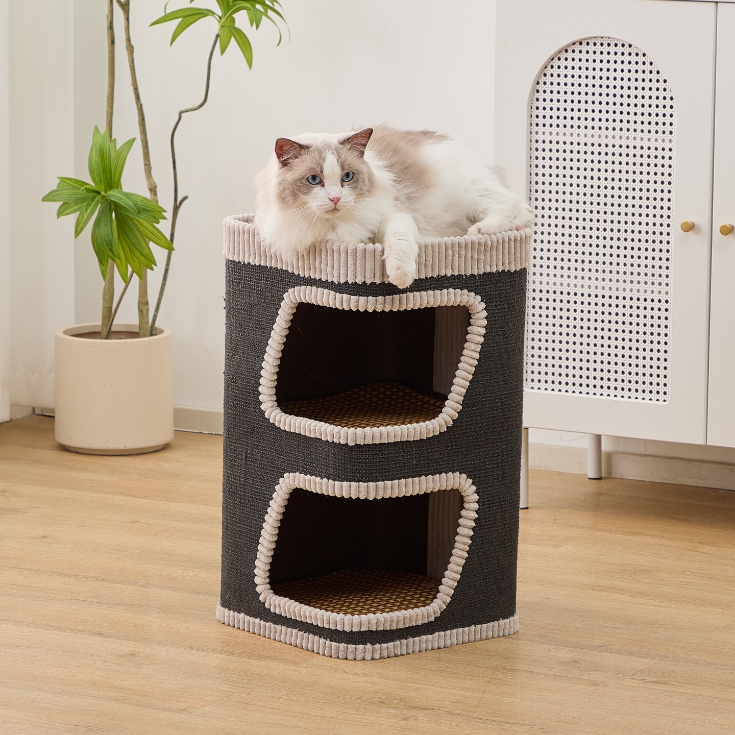 剑麻桶猫抓板猫窝不占地四季通用小户型猫树小型双层耐打理易打理