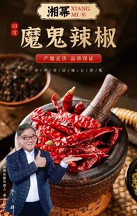 魔鬼干辣椒湘幂香料印度进口辣椒干特辣特香料料包调料调味品