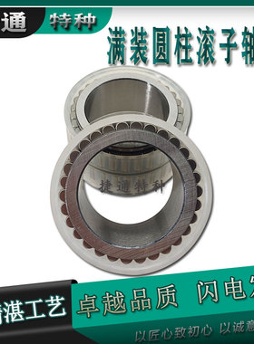 F-237005 F-229575.1 F-201272 圆柱滚子轴承 无外圈行星减速机齿