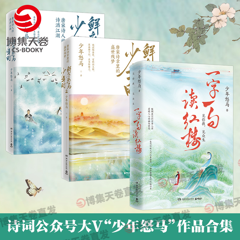 一字一句读红楼少年怒马