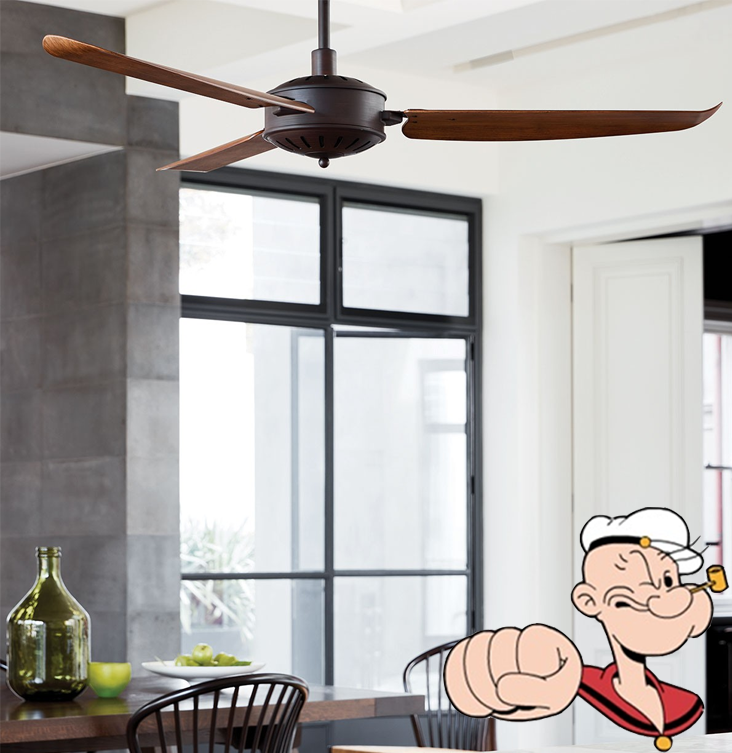 lucciair复古吊扇家居餐厅静音