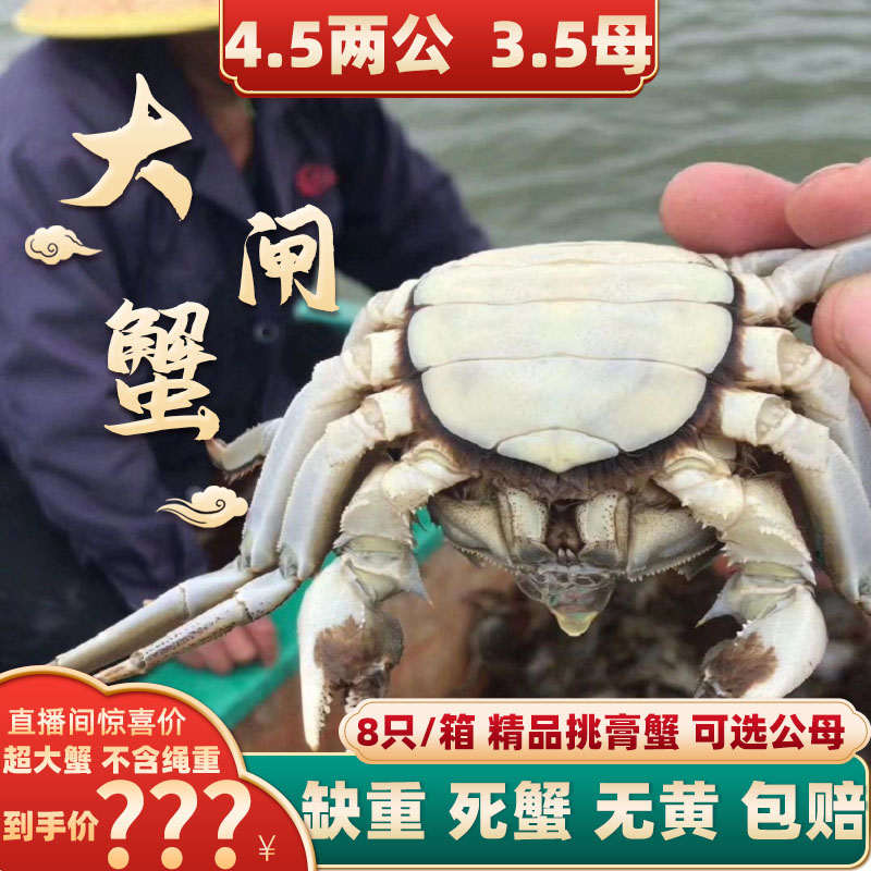 3.5两母蟹精品挑膏大闸蟹礼盒装