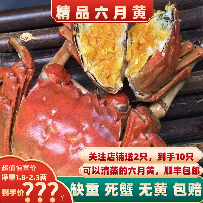精品裸重高品质六月黄大闸蟹2两