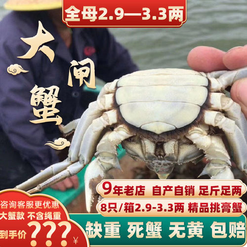 3两全母精品挑膏大闸蟹8只礼盒装