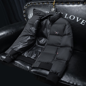 钱塘6014 货号246 P300 控398 秋冬款羽绒服男图片