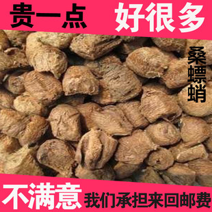 中药材野生熟桑螵蛸 桑蛸 生桑螵蛸 螳螂子刀螂子桑蛸500克包邮