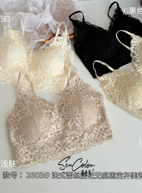 黛美芮新品轻盈性感V领蕾丝提花固定杯聚拢吊带美背裹胸内衣2603