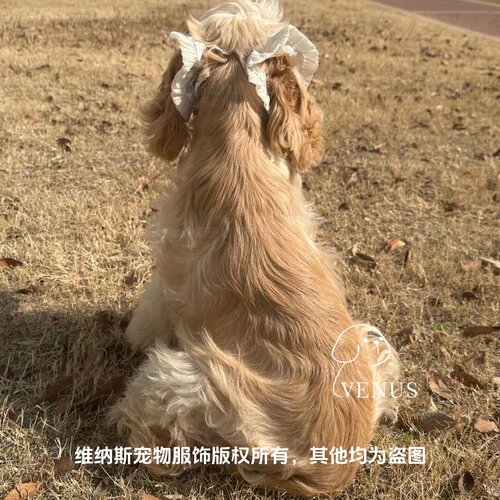 宠物耳花美卡耳套可卡布防脏