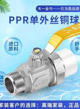 天一 金牛 PPR单外丝全铜球阀品质 活接球阀 阀门4分 6分1寸 铜芯
