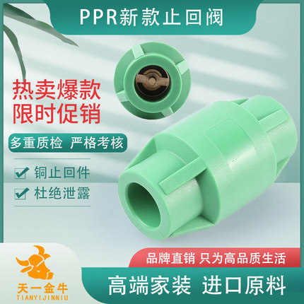 天一 金牛202532PPR止回阀单向阀逆止阀4分1寸PPR水管管件配件