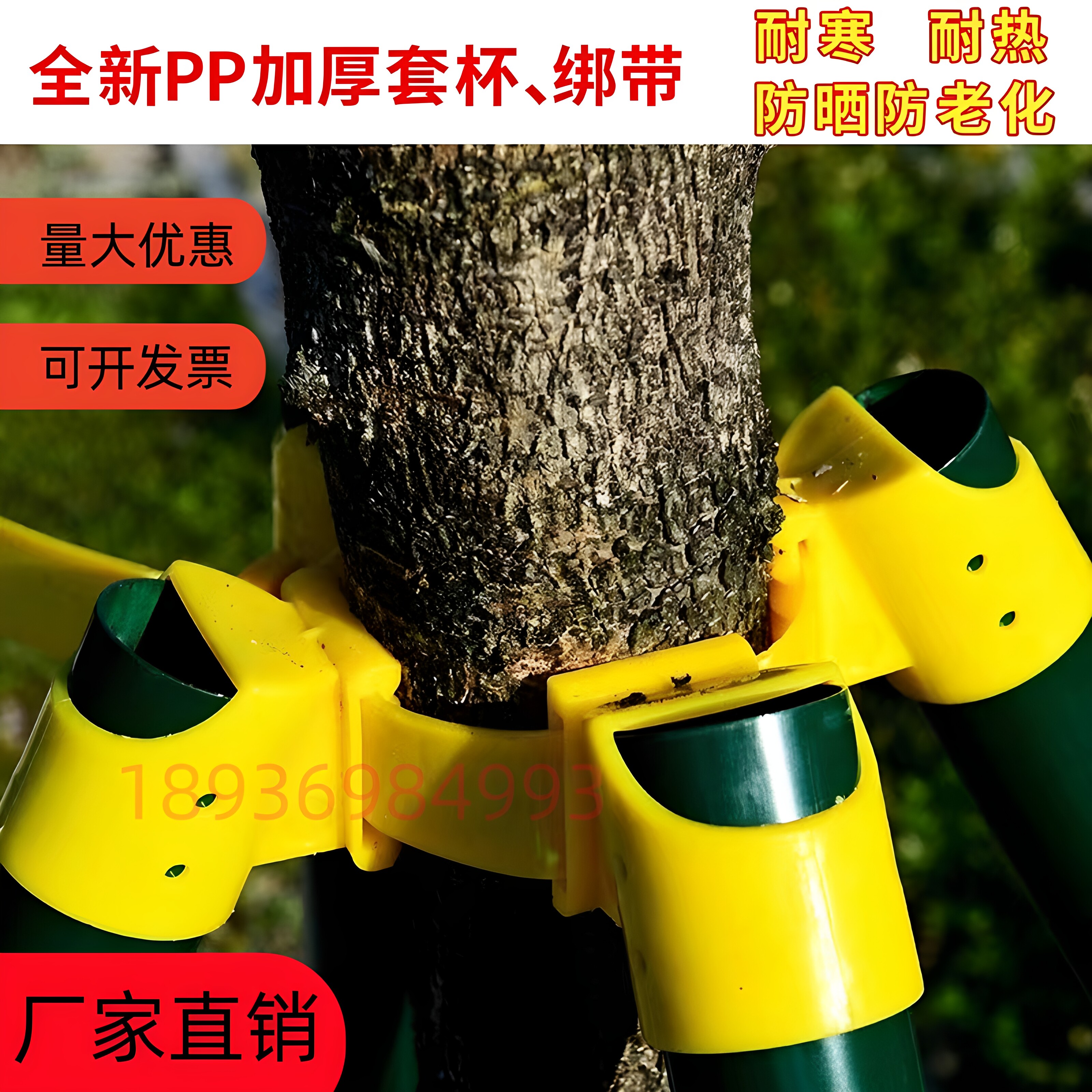 园林绿化行道树乔木支撑架树固定