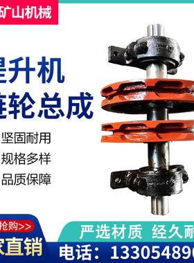 NETH提升机链轮水泥厂不锈钢耐磨耐腐蚀圆环链提升机链轮