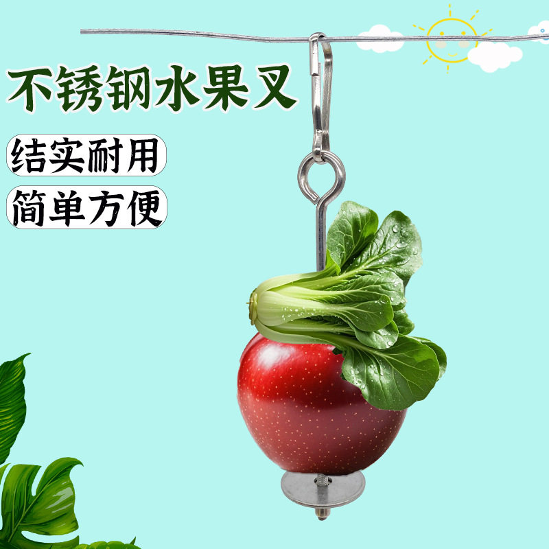 鹦鹉鸟用水果叉不锈钢鹦鹉鸟笼配件挂钩觅食喂食器玩具松鼠鸟用品图片