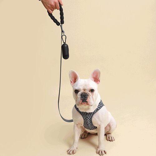 狗狗胸背带牵引带宠物绳抗拉扯猫狗通用超轻防挣脱大型犬防走丢