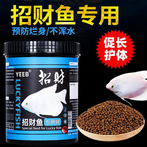 yeeb招财鱼饲料战船鱼专用鱼饲料热带观赏鱼鱼料发财鱼上浮型鱼粮