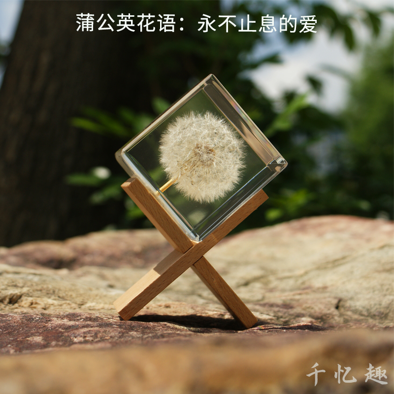 蒲公英标本玫瑰永生花雏菊植物立方体水晶摆件树脂车载家居装饰品