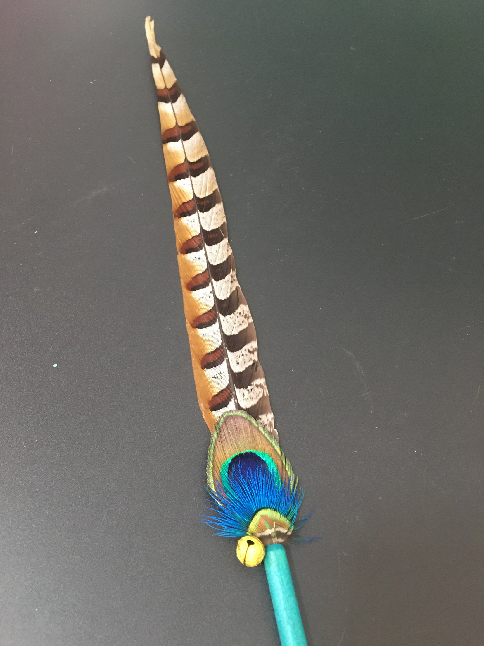 比赛专用逗猫棒天然孔雀羽毛猫咪互动宠物玩具