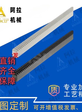 LRGEA RGEA1.0 1.5 2.0 2.5 3.0-300 500-N A ST Z替代米思米齿条