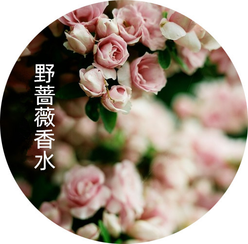 朴缇私 调野蔷薇香水花香 女士淡香水 持久 清新花香调 试管