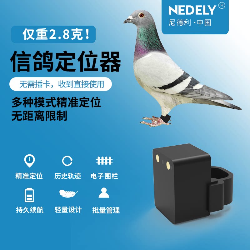 尼德利信鸽定位器赛鸽gps智能脚环防丢失卫星北斗免插卡鸟定位仪