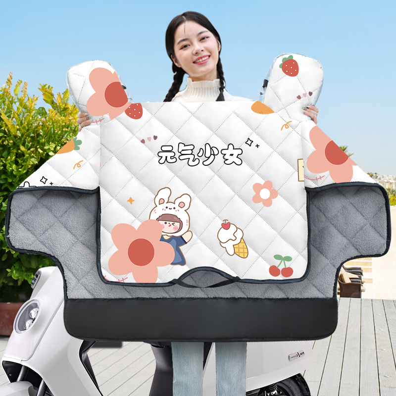 小型电动车挡风被冬季2024款加绒