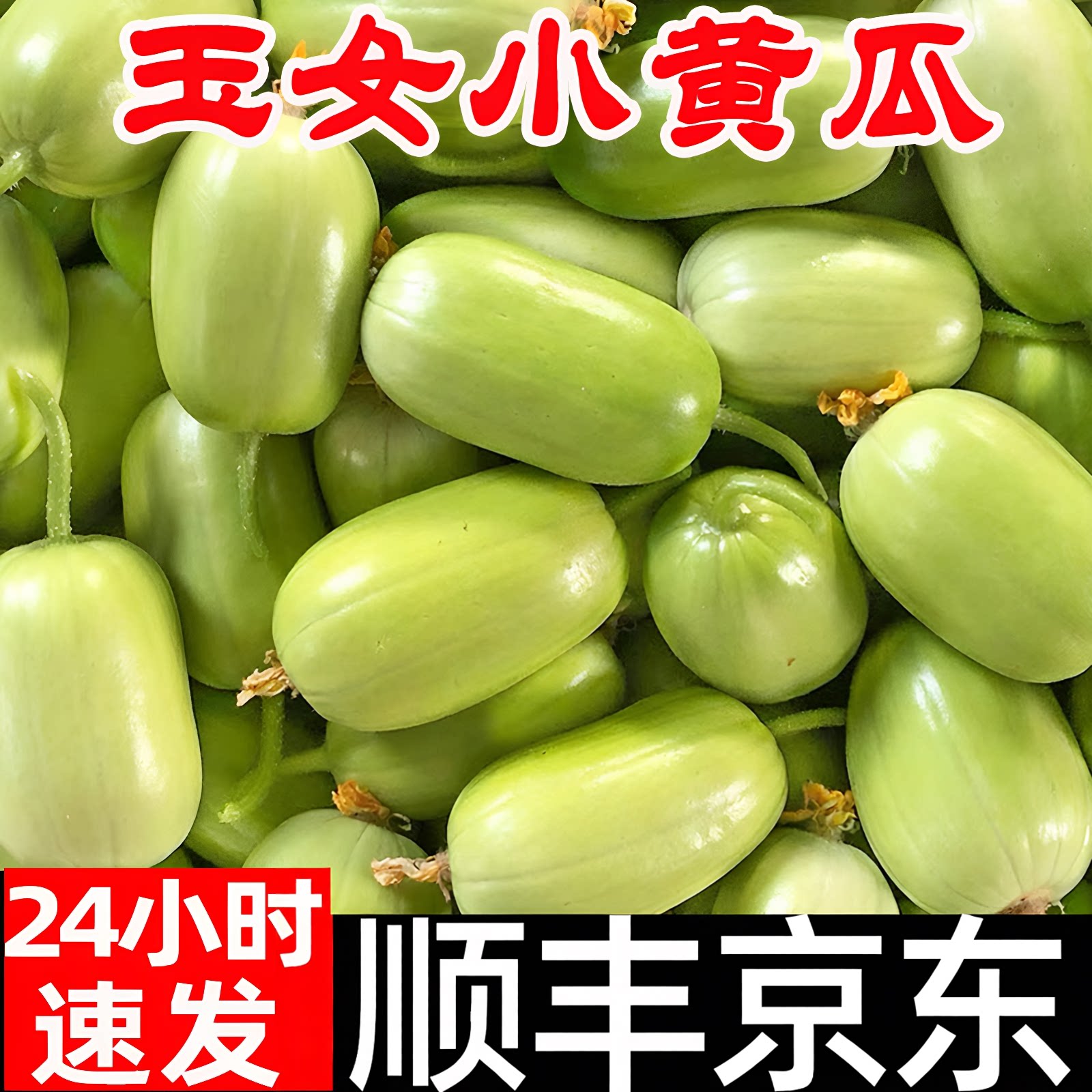 玉女瓜小黄瓜新鲜水果黄瓜顺丰脆甜拇指小青瓜旱白玉黄瓜生吃现摘