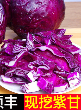 紫甘蓝新鲜 紫包菜球顺丰蔬菜紫色椰菜卷心沙拉生菜紫甘兰批发5斤