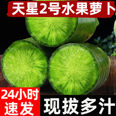 天星2号潍坊水果萝卜甜脆生吃