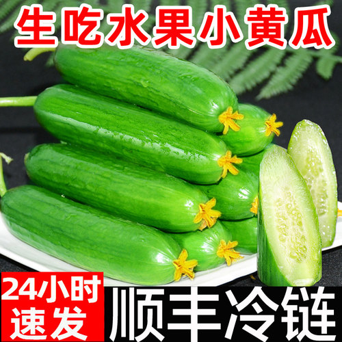 顺丰包邮水果小黄瓜现摘新鲜
