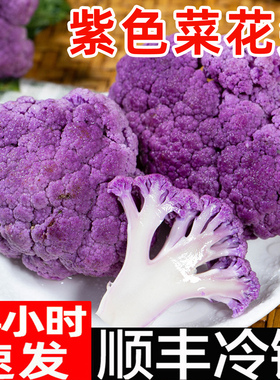 紫菜花新鲜紫花椰菜顺丰蔬菜紫花菜紫色椰菜卷心沙拉紫甘兰批发
