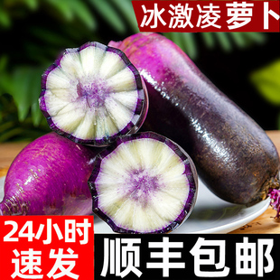顺丰冰淇淋水果萝卜冰激凌红萝卜10冰糖心甜脆水果型凤梨潍坊萝卜