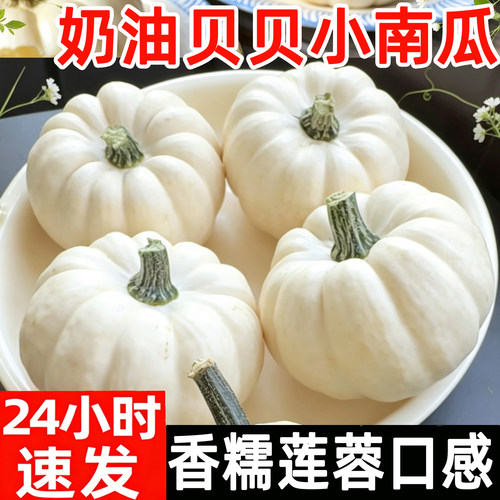奶油贝贝南瓜白贝贝板栗榴莲南瓜