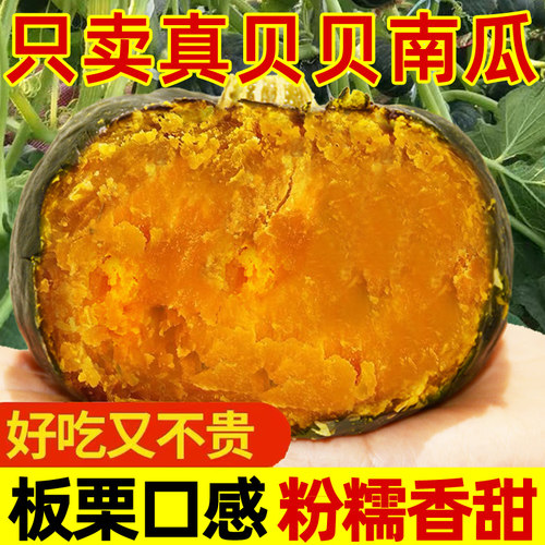 真贝贝小南瓜板栗味粉糯香甜