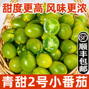 青口蜜圣女果绿色青甜2号小番茄新鲜绿千禧即食小柿子生吃顺丰