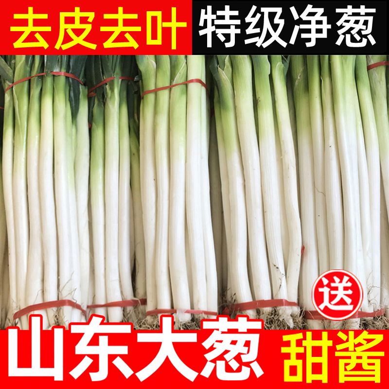 山东章丘大葱新鲜特级现挖正宗甜脆铁杆大葱特产蔬菜香红葱头