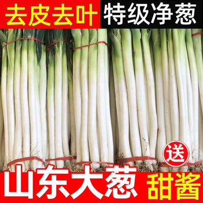 山东章丘大葱特级新鲜脆甜送甜酱