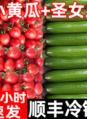 圣女果水果小黄瓜新鲜组合樱桃番茄小青瓜千禧西红柿子生吃自然熟