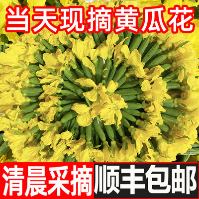 顺丰包邮新鲜小黄瓜花鲜嫩