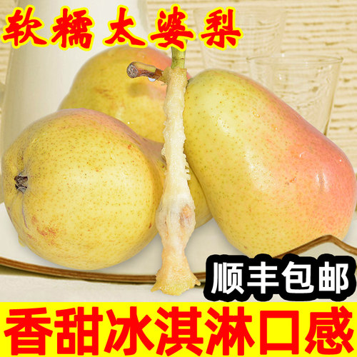烟台太婆梨顺丰大头梨软糯
