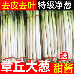 山东章丘大葱特级新鲜脆甜送甜酱