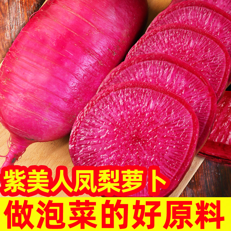 包邮紫美人凤梨水果萝卜现拔