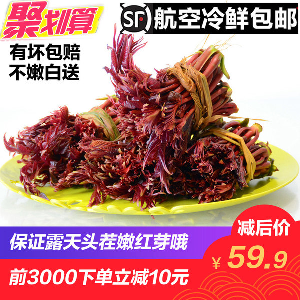 农大姐妹 露天头茬红香椿芽 800g 天猫优惠券折后￥54.9航空包邮（￥69.9-15）
