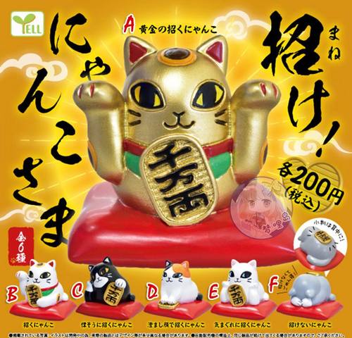 日本白猫质量怎么样 日本白猫口碑怎么样 小麦优选 日本白猫质量怎么样 日本白猫口碑怎么样 小麦优选