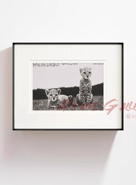 Peter Beard丨Cheetah Cubs 摄影版画小众装饰画动物艺术高级挂画
